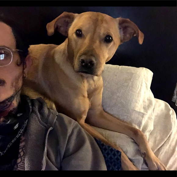 🎲-🎲-🎲 - Picture 4 of 5